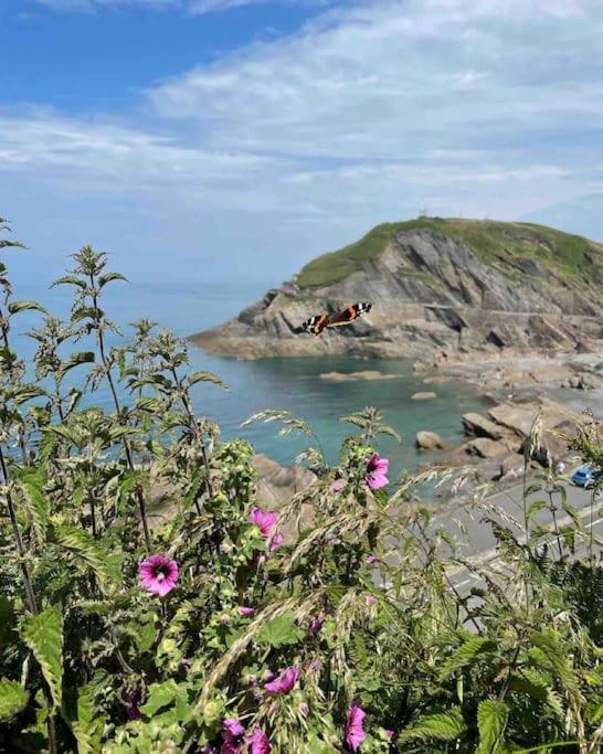 Paramount Apartments Ilfracombe, Arty Seaside Holiday Apartments Екстер'єр фото